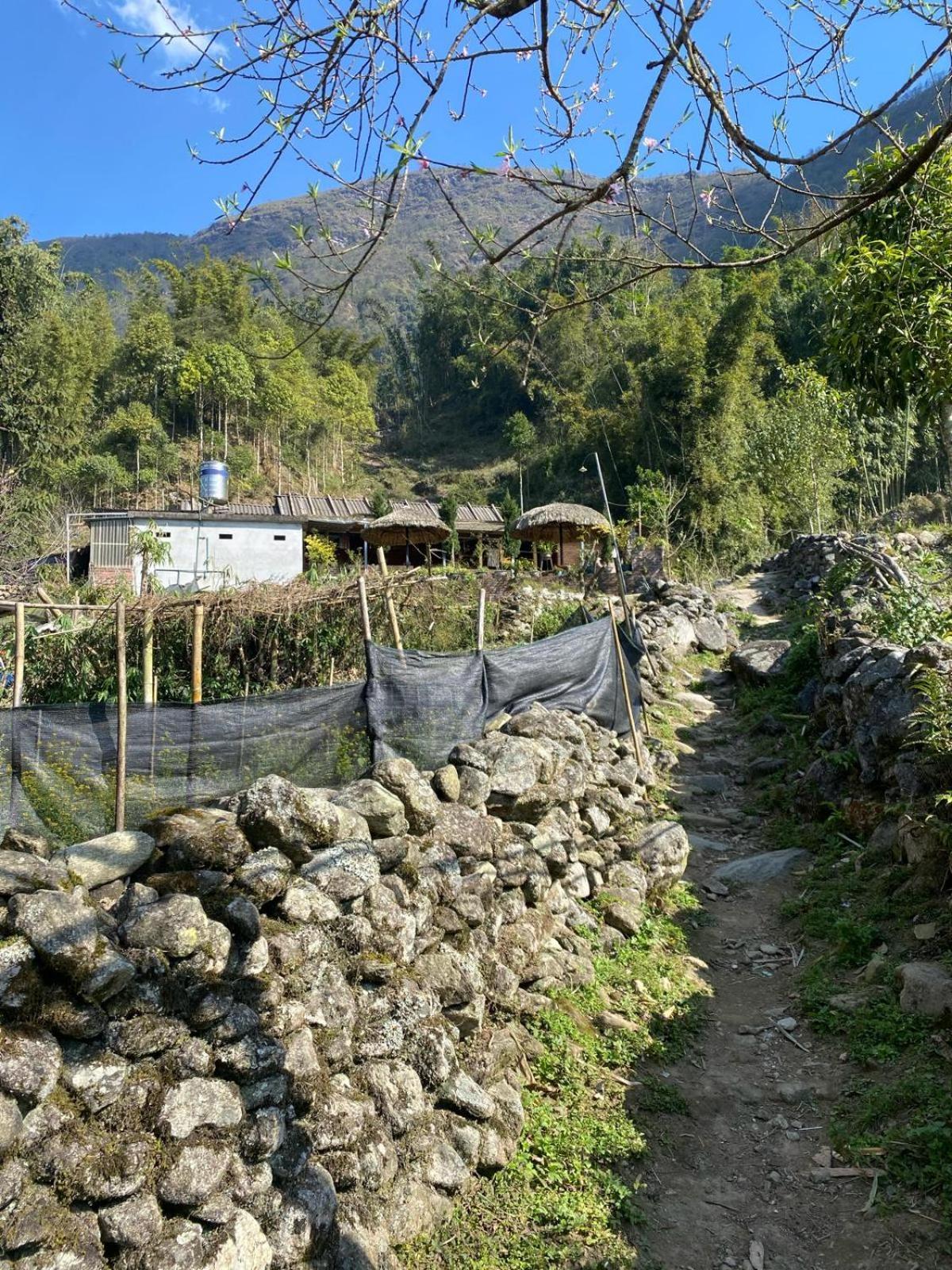 Sue Pa Family Trekking Homestay Sa Pa Zewnętrze zdjęcie