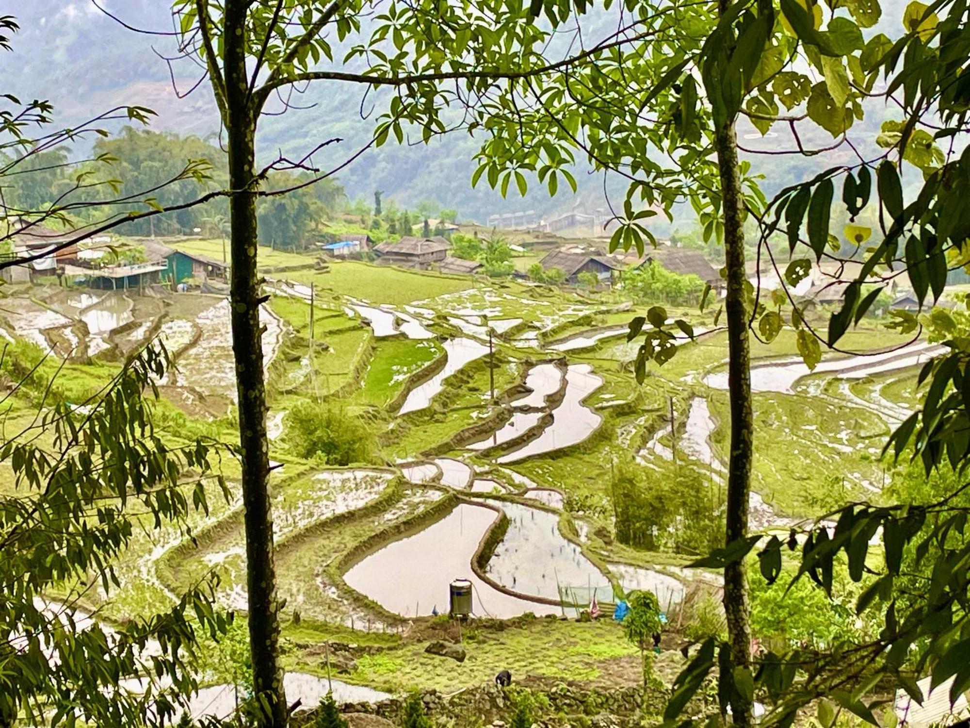 Sue Pa Family Trekking Homestay Sa Pa Zewnętrze zdjęcie