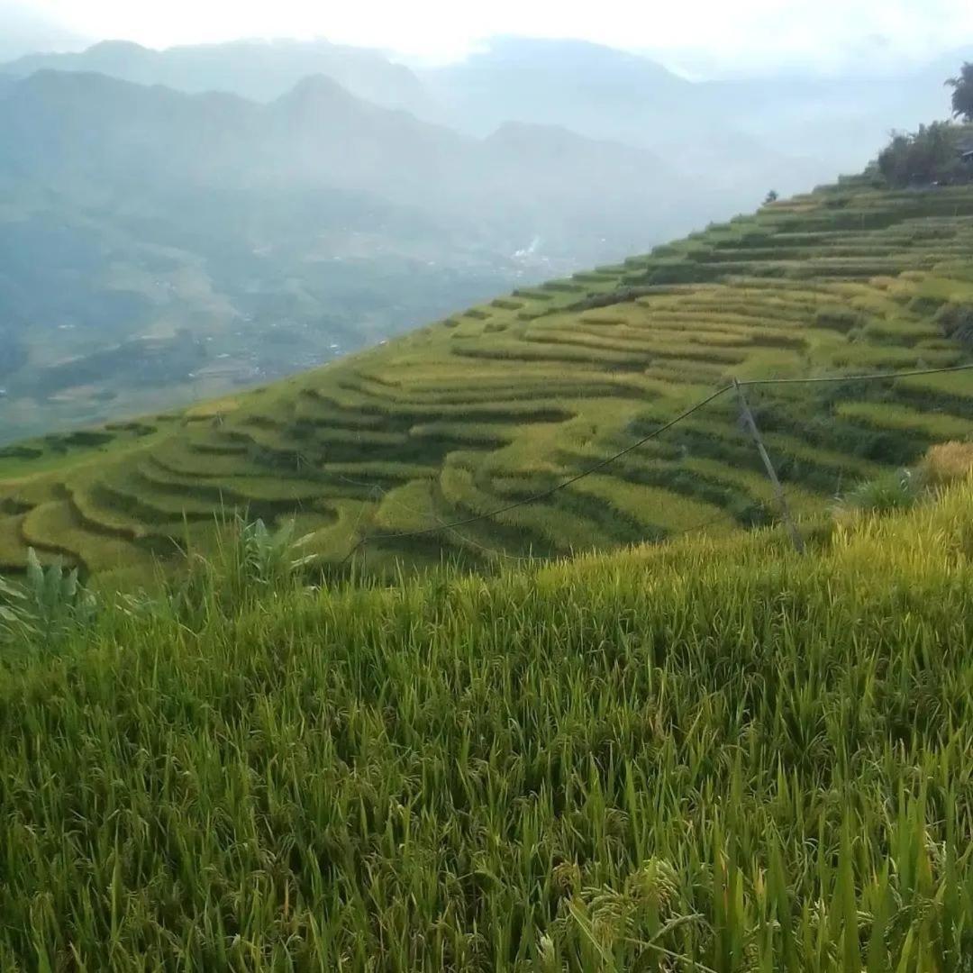 Sue Pa Family Trekking Homestay Sa Pa Zewnętrze zdjęcie