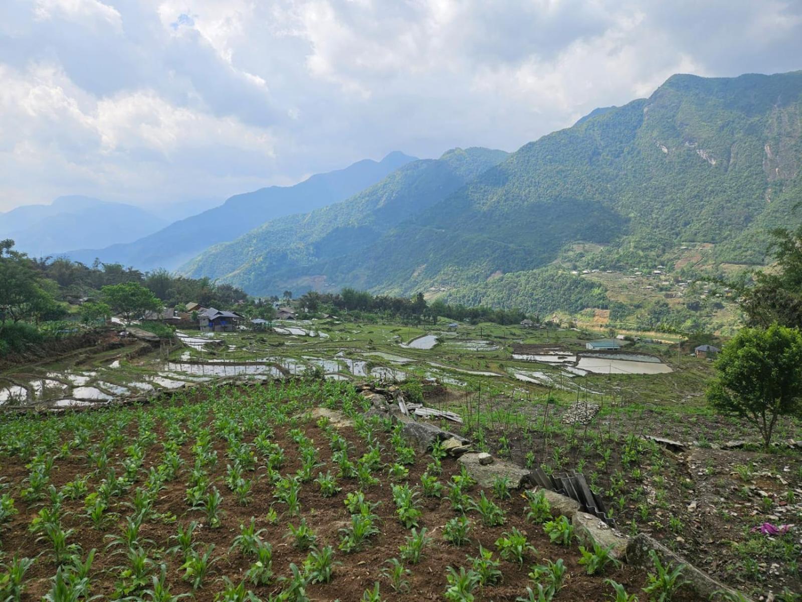 Sue Pa Family Trekking Homestay Sa Pa Zewnętrze zdjęcie